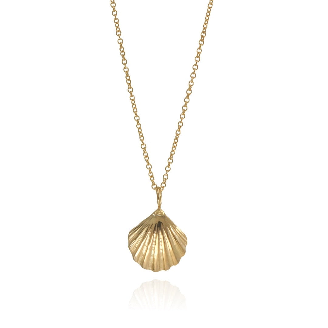 24k Gold Sea Shell Necklace – Ash Flynn Jewellery - Main Image