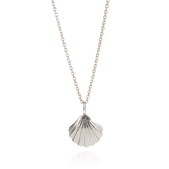 Sunrise Scallop Shell Necklace – Morning Moon Nature Jewelry