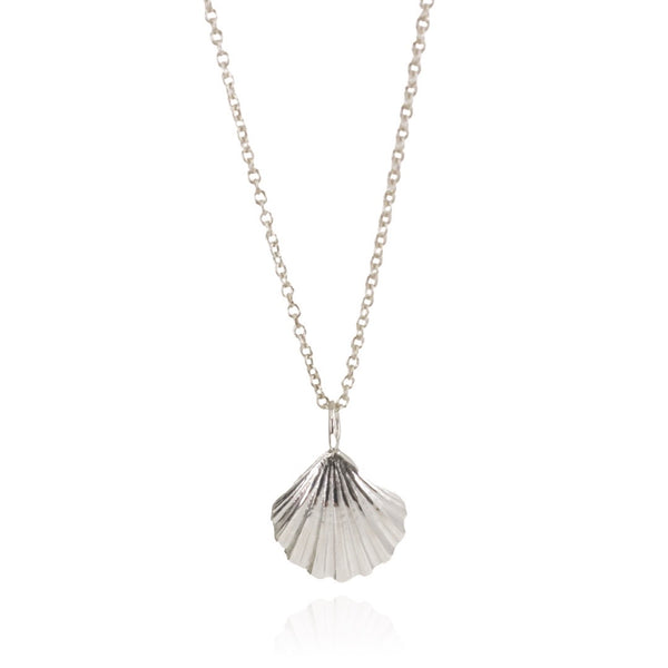 Silver Sea Shell Necklace Ash Flynn Jewellery